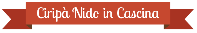 cartiglio